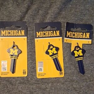 MICHI Key Blank - Blue and Yellow